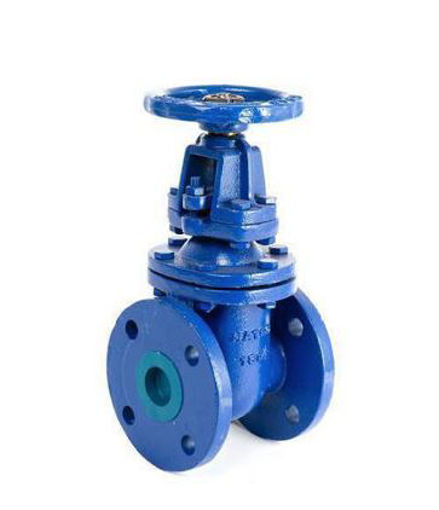 Picture of Gate Valve,Industrial pattern Brass trim,Full bore,DN50mm,
Flanged BS4504 drilled TableD,non rising spindle,
PN10 rated,Cast iron,