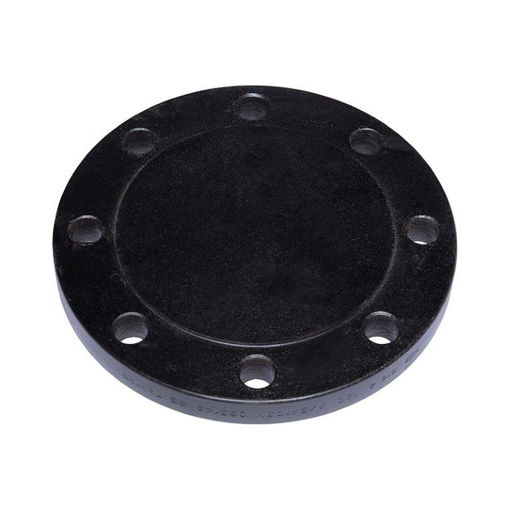 Picture of FORGED FLANGE ASTM/ASME A/SA 105 ASA150 x RF x BLD x 125