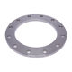 Picture of PLATE FLANGE GRADE 316 L T1000 FLAT FACE SLIP ON 250