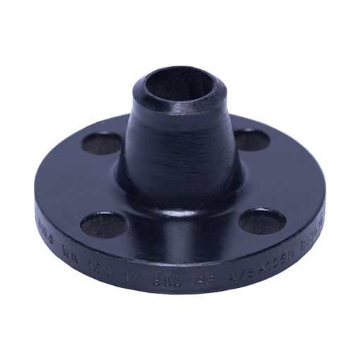 Picture of FORGED FLANGE ASTM/ASME A/SA 105 ASA300 x RF x WNXXS x 40
