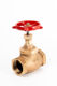 Picture of Globe valve,APEX,Bronze-bronze,DN100mm,screwed BSP female
x female, PN16,Bronze,Handwheel operated