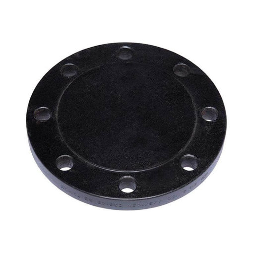 Picture of FORGED FLANGE ASTM/ASME A/SA 105 / A350 LF2 ASA150 x RF x BLD x 200
(SP-50-13)