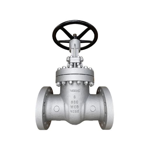 Picture of GATE VALVE
200mm
BODY: A216 WCB
TRIM: API #5
FLANGED RF ENDS
Class #600
