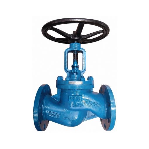 Picture of Globe Valve 125mm PN40