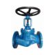 Picture of Globe Valve 125mm PN40